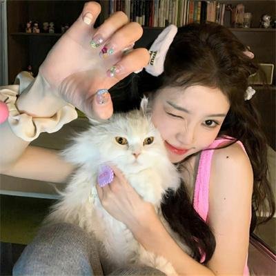 三国的星空第一部