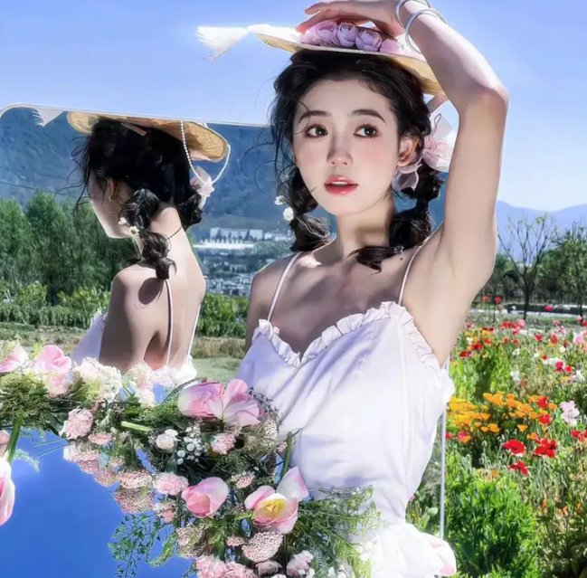 龙与虎OVA:便当的精髓